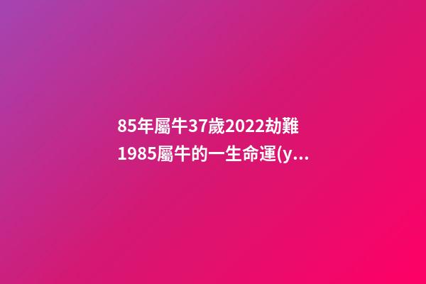 85年屬牛37歲2022劫難 1985屬牛的一生命運(yùn) 1985屬牛37歲運(yùn)氣-第1張-觀點(diǎn)-玄機(jī)派